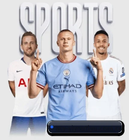 五个功能入口,赛程查询路径更短 | YYSPORTS